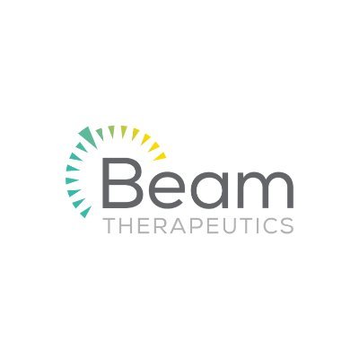 BEAM logo