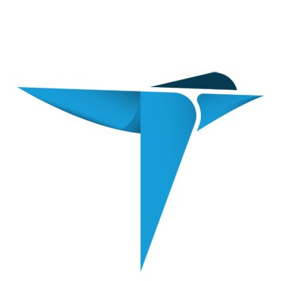 TERN logo